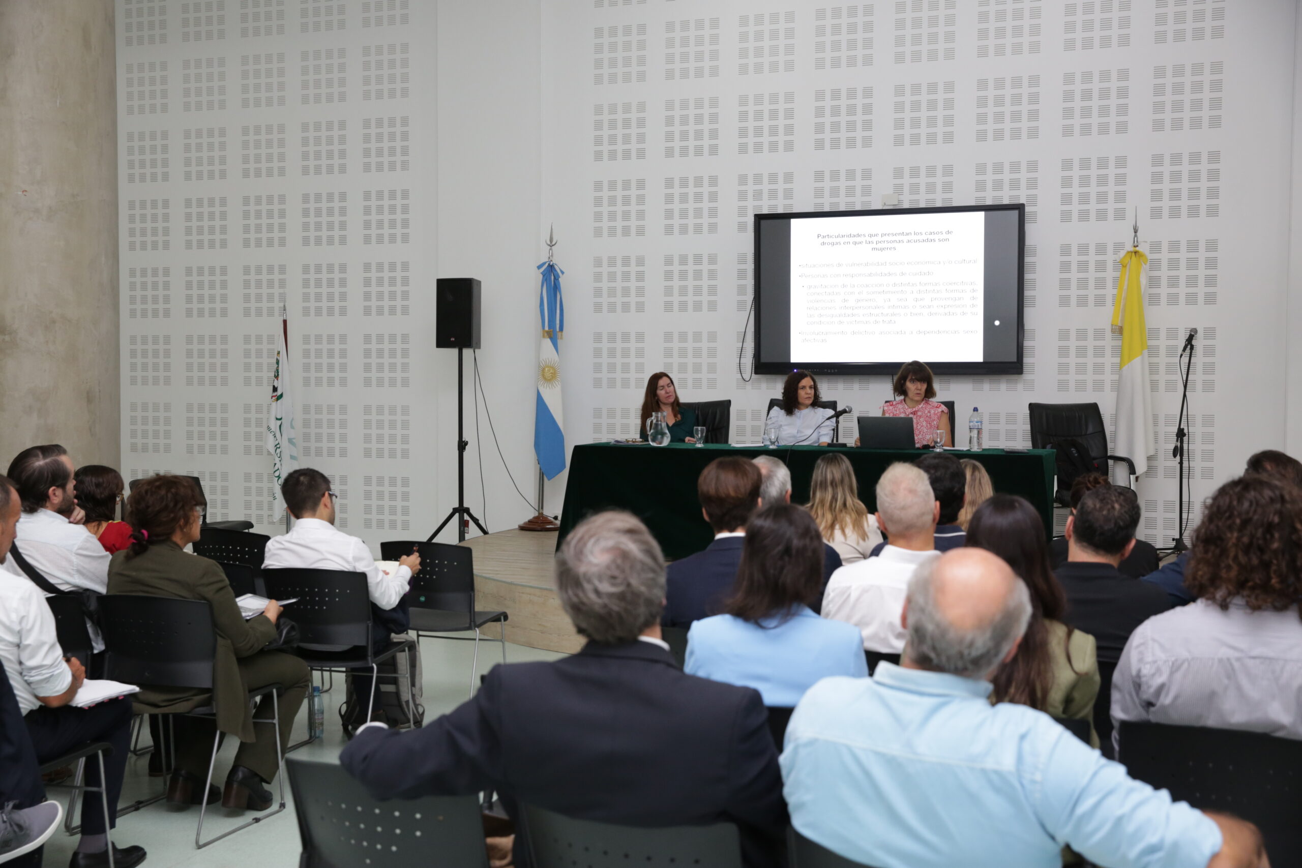Litigación penal en casos de drogas en el marco del proceso de implementación del nuevo CPPF