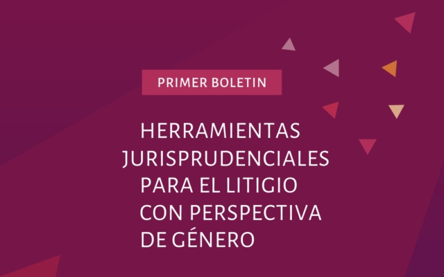 Herramientas Jurisprudenciales para el Litigio con Perspectiva de Género